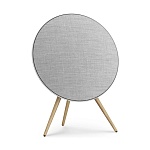 Bang & Olufsen Beosound A9 5th Gen Natural ALuminium