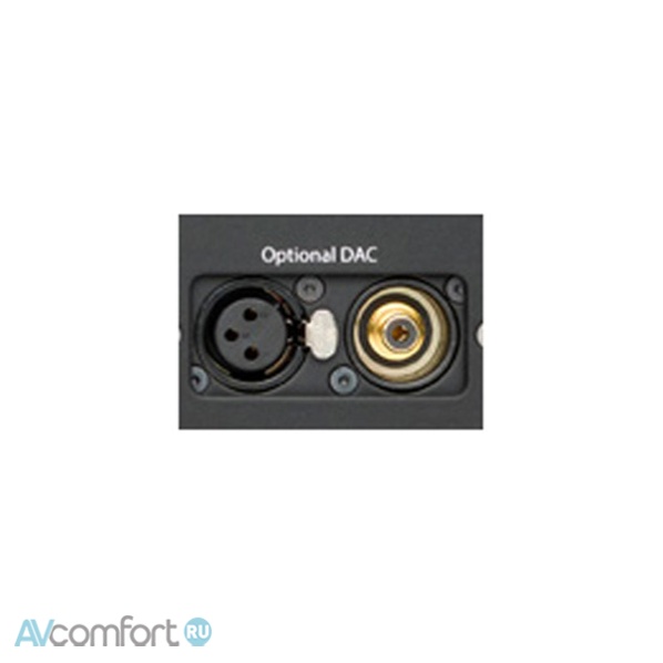 VITUS AUDIO RI-100 Optional DAC Module