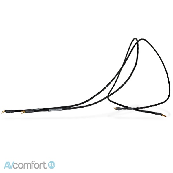 AVComfort, SYNERGISTIC RESEARCH Foundation Speaker Cable, SR Silver Spade, 2,4 м