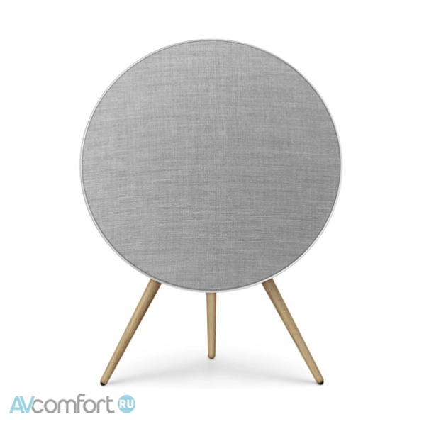 Bang & Olufsen Beosound A9 5th Gen Natural ALuminium