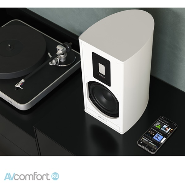Piega Premium 301 Wireless Gen 2