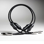 Shunyata Research Alpha-X XLR 1,0 m