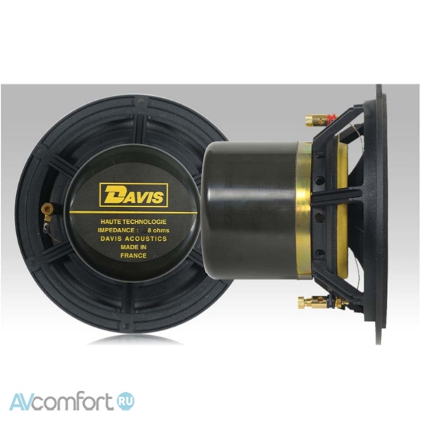 Davis Acoustics MV One Master Tamo Ash