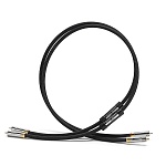 Shunyata Research Alpha v2 RCA, 1,0 m