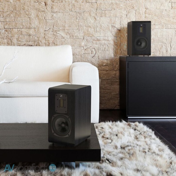 QUAD S-2 Black Oak