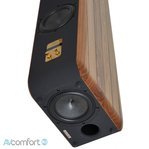 Chario Cielo Walnut
