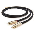 Mcintosh CA 1,0m